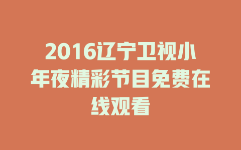 2016辽宁卫视小年夜精彩节目免费在线观看