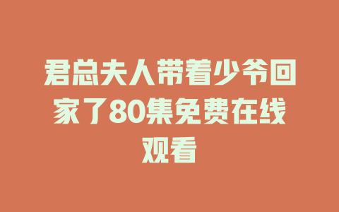 君总夫人带着少爷回家了80集免费在线观看
