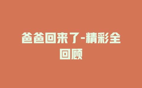 爸爸回来了-精彩全回顾