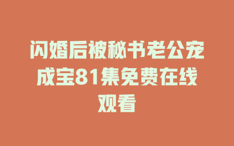 闪婚后被秘书老公宠成宝81集免费在线观看