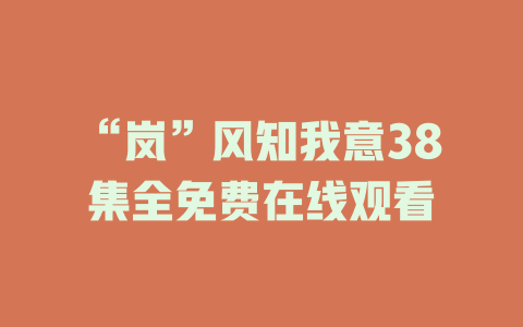 “岚”风知我意38集全免费在线观看