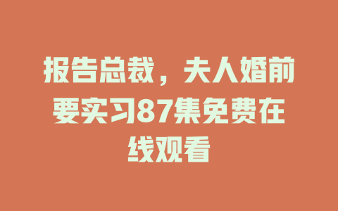 报告总裁，夫人婚前要实习87集免费在线观看