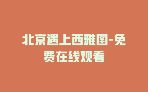 北京遇上西雅图-免费在线观看