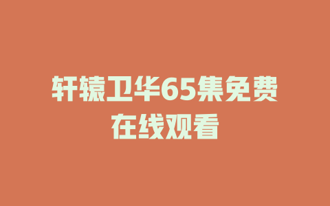 轩辕卫华65集免费在线观看