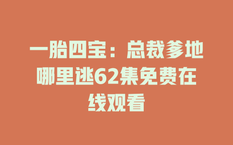 一胎四宝：总裁爹地哪里逃62集免费在线观看
