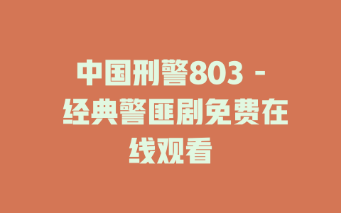 中国刑警803 - 经典警匪剧免费在线观看