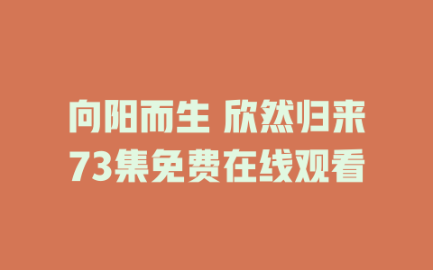 向阳而生 欣然归来73集免费在线观看