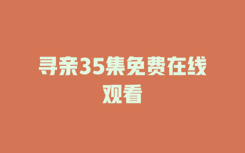 寻亲35集免费在线观看