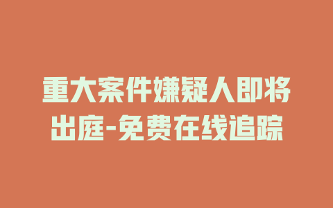 重大案件嫌疑人即将出庭-免费在线追踪