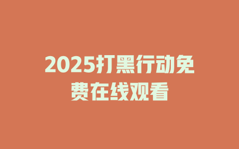 2025打黑行动免费在线观看