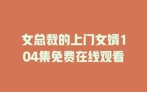 女总裁的上门女婿104集免费在线观看