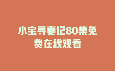 小宝寻妻记80集免费在线观看