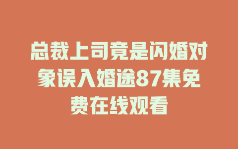 总裁上司竟是闪婚对象误入婚途87集免费在线观看