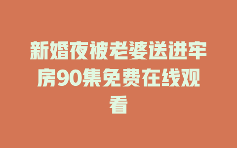 新婚夜被老婆送进牢房90集免费在线观看
