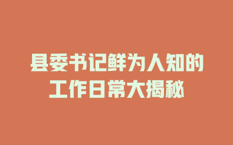 县委书记鲜为人知的工作日常大揭秘