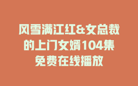 风雪满江红&女总裁的上门女婿104集免费在线播放