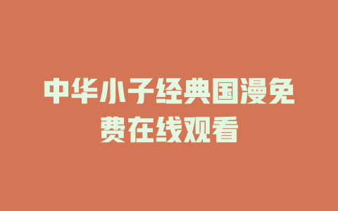 中华小子经典国漫免费在线观看