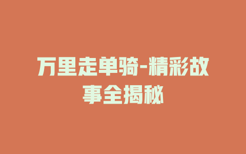 万里走单骑-精彩故事全揭秘