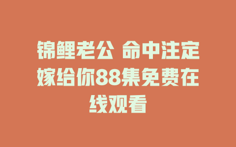 锦鲤老公 命中注定嫁给你88集免费在线观看