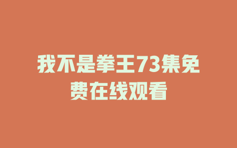 我不是拳王73集免费在线观看