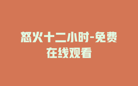 怒火十二小时-免费在线观看