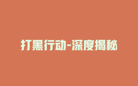 打黑行动-深度揭秘