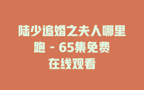 陆少追婚之夫人哪里跑 - 65集免费在线观看