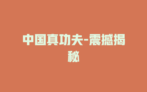 中国真功夫-震撼揭秘