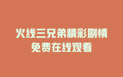 火线三兄弟精彩剧情免费在线观看