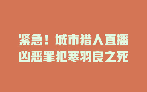 紧急！城市猎人直播凶恶罪犯寒羽良之死