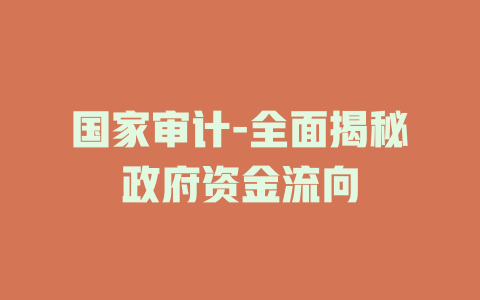 国家审计-全面揭秘政府资金流向