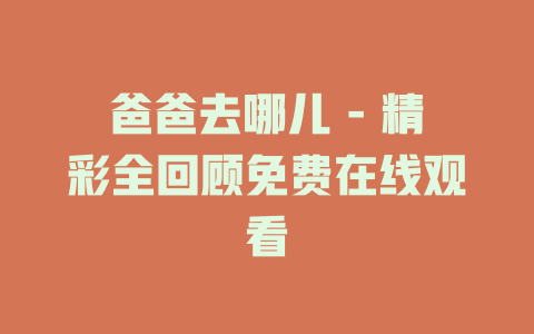 爸爸去哪儿 - 精彩全回顾免费在线观看