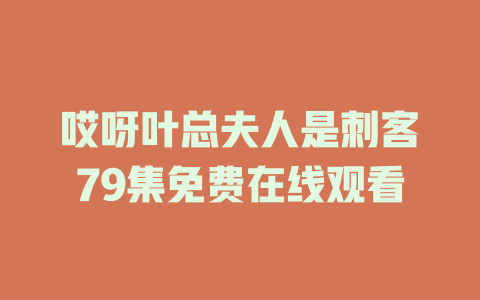 哎呀叶总夫人是刺客79集免费在线观看