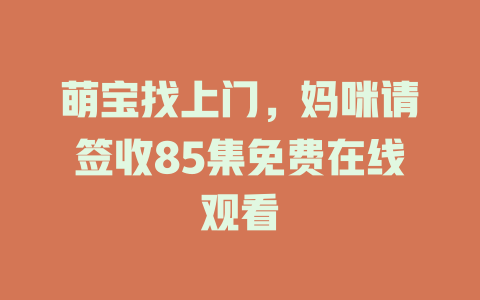 萌宝找上门，妈咪请签收85集免费在线观看