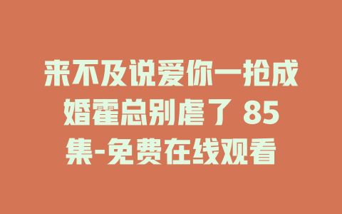 来不及说爱你一抢成婚霍总别虐了 85集-免费在线观看