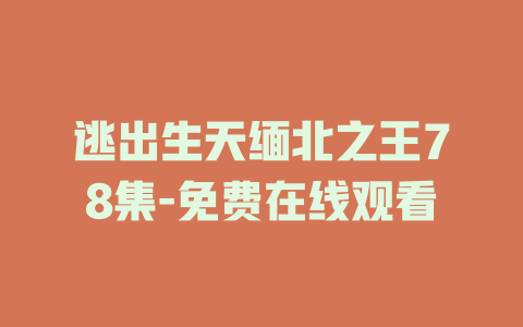 逃出生天缅北之王78集-免费在线观看