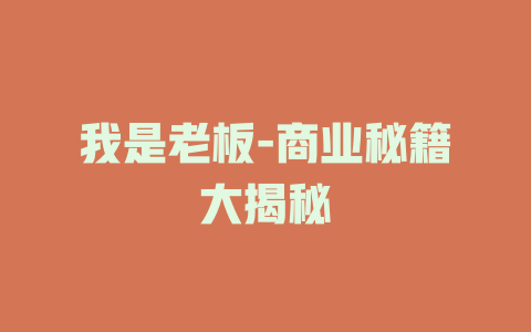 我是老板-商业秘籍大揭秘