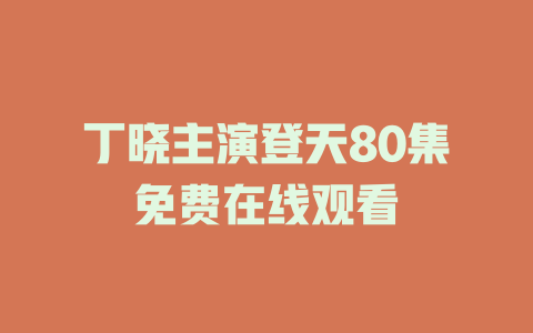 丁晓主演登天80集免费在线观看