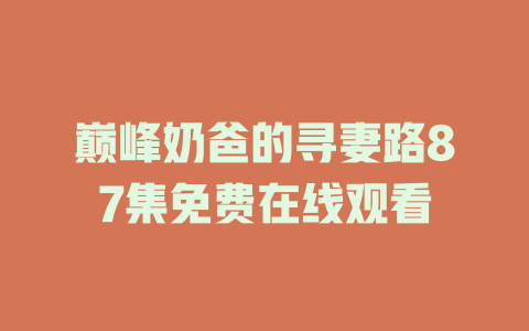 巅峰奶爸的寻妻路87集免费在线观看