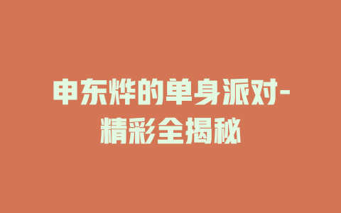 申东烨的单身派对-精彩全揭秘