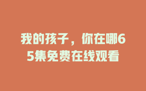 我的孩子，你在哪65集免费在线观看