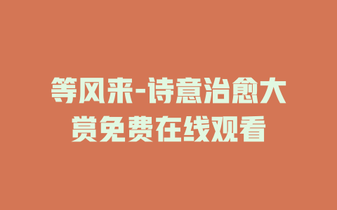 等风来-诗意治愈大赏免费在线观看
