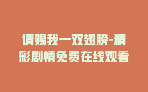 请赐我一双翅膀-精彩剧情免费在线观看