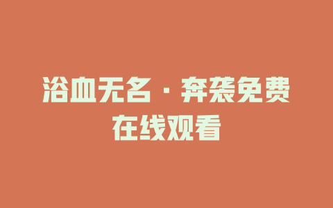 浴血无名·奔袭免费在线观看