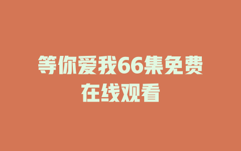 等你爱我66集免费在线观看