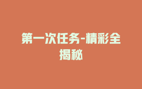 第一次任务-精彩全揭秘