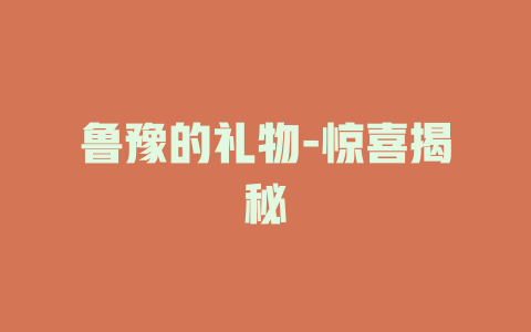 鲁豫的礼物-惊喜揭秘
