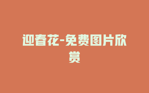 迎春花-免费图片欣赏