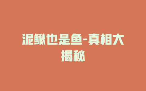 泥鳅也是鱼-真相大揭秘