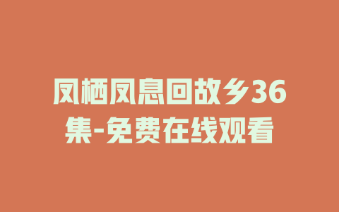 凤栖凤息回故乡36集-免费在线观看